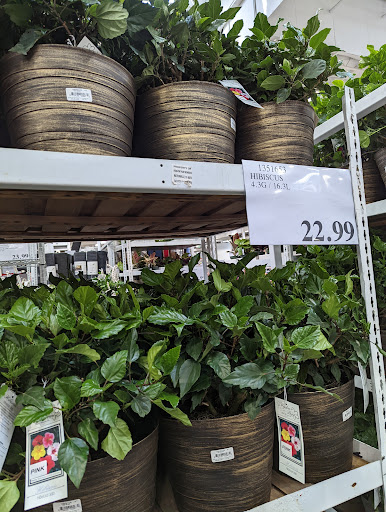 Warehouse store «Costco Wholesale», reviews and photos, 1000 N Rengstorff Ave, Mountain View, CA 94043, USA