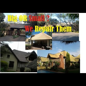 Pjd Thatch - photo 1