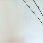 Photo n°19 de l'avis de Philippe.i fait le 02/08/2022 à 07:08 sur le  GINN City & Lounge Hotel Ravensburg à Ravensburg