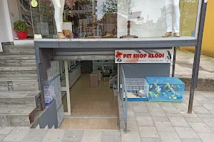 Pet Shop Klodi (Papagaj të zbutur, Kanarina, Gardelina, Peshq, Lepuj, Kavje) image