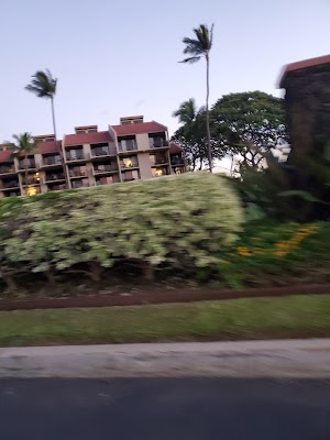 Kamaole Sands - photo 89