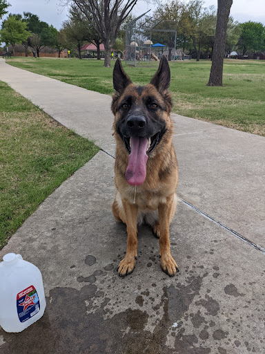 Park «Neighborhood Park - Frank Beverly Park», reviews and photos, 7112 Quarry Chase Trail, Plano, TX 75025, USA