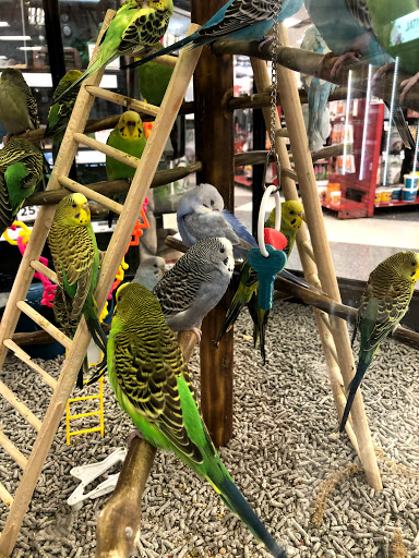 Pet Supply Store «Petco Animal Supplies», reviews and photos, 1815 Newport Blvd b, Costa Mesa, CA 92627, USA