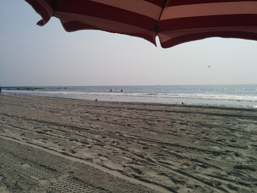 Surf Shop «7th Street Surf Shop», reviews and photos, 654 Boardwalk, Ocean City, NJ 08226, USA