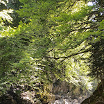 Photo n° 10 de l'avis de Remi.a fait le 13/07/2022 à 16:28 pour Pont d'Espagne à Cauterets