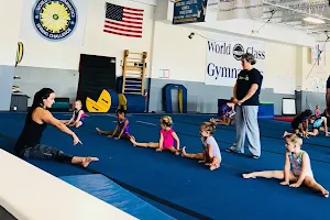 World Class Gymnastics Academy image