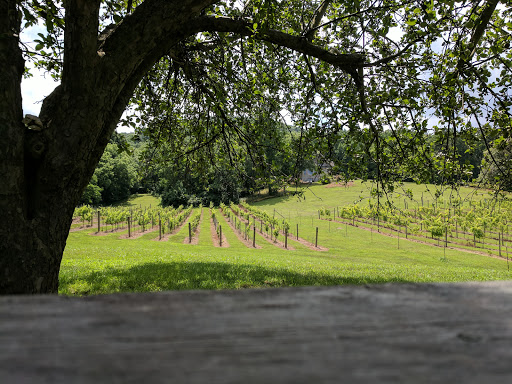 Winery «Cobbler Mountain Cellars», reviews and photos, 5909 Long Fall Ln, Delaplane, VA 20144, USA