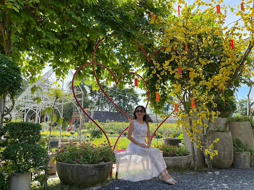 Top 20 cửa hàng cây kiểng Thành phố Phan Thiết Bình Thuận 2022