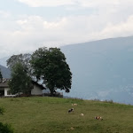 Photo n°3 de l'avis de Luigi.a fait le 21/07/2017 à 15:09 sur le  Malga Brigolina à Trento