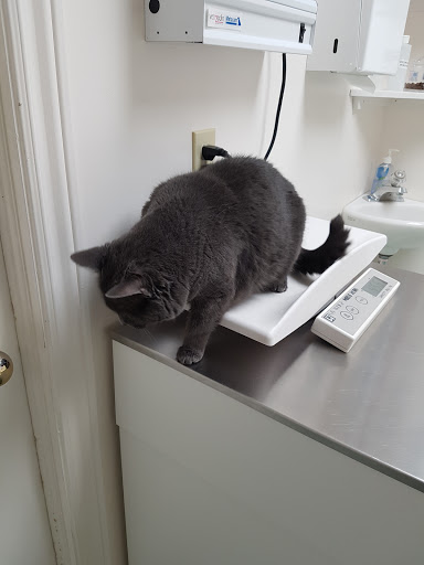 Hawkins Animal Hospital image