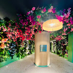 Photo n° 1 de l'avis de charline.e fait le 28/02/2024 à 05:15 pour Mama Shelter Rennes à Rennes