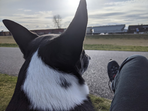 Public Golf Course «Chambers Bay», reviews and photos, 6320 Grandview Dr W, University Place, WA 98467, USA