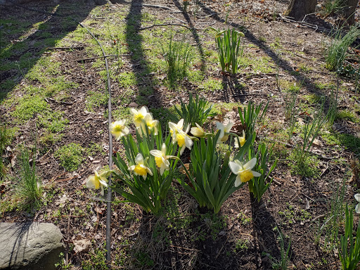 Dog Park «Brookdale Dog Park», reviews and photos, W Circuit Dr, Montclair, NJ 07043, USA