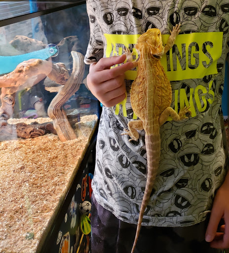 Reptile Store «LLLReptile & Supply Las Vegas», reviews and photos, 8450 W Sahara Ave #105, Las Vegas, NV 89117, USA