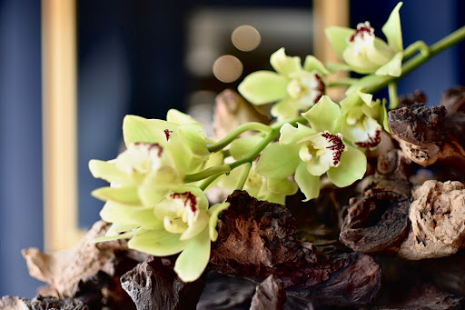 Florist «Mia fiori», reviews and photos, 5840 Legacy Cir D165, Plano, TX 75024, USA