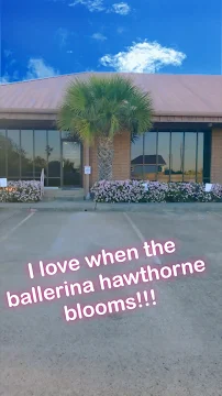 The Law Offices and Mediation Center of Susan M. Edmonson - Car repair in Galveston, TX, Galveston - Rated 4.2/5