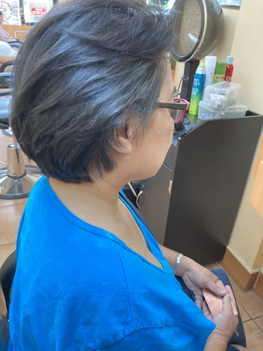 Beauty Salon «Aaina Beauty Salon», reviews and photos, 337 S Broadway, Hicksville, NY 11801, USA