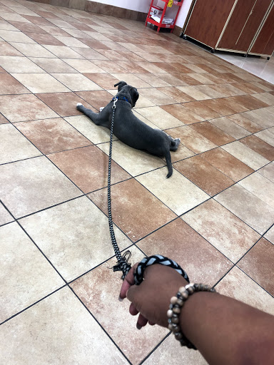 Pet Supply Store «PetSmart», reviews and photos, 8660 Airline Hwy, Baton Rouge, LA 70815, USA