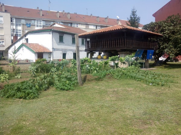 Imagen de Pando Floristas (12 de 14)