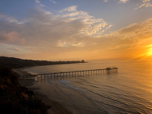 Wedding Venue «Martin Johnson House», reviews and photos, 8840 Biological Grade, La Jolla, CA 92037, USA