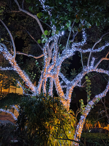 Performing Arts Theater «Broward Center for the Performing Arts», reviews and photos, 201 SW 5th Ave, Fort Lauderdale, FL 33312, USA