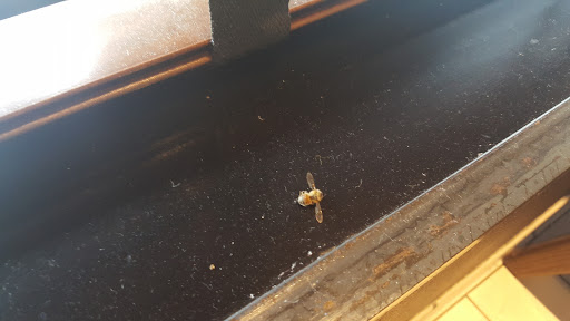 Coffee Shop «Starbucks», reviews and photos, 1401 SW Wilshire Blvd, Burleson, TX 76028, USA