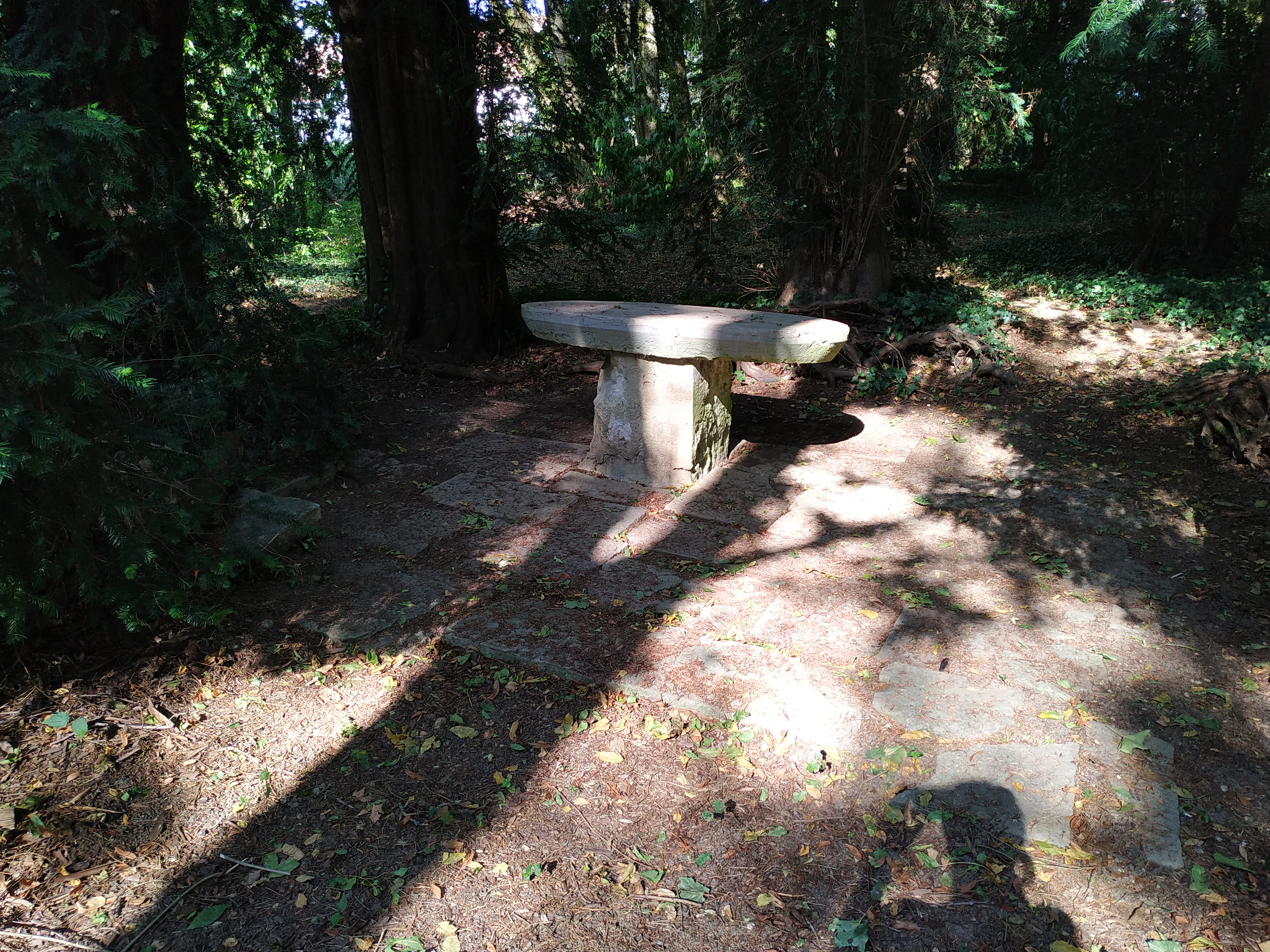Photo n° 3 de l'avis de Angelfique.o fait le 21/09/2019 à 13:48