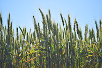 Farmland Company Inc - Photo 4 - Car repair in Spokane, WA, Spokane