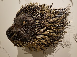 Montclair Art Museum - photo 5