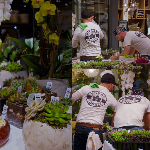 Wholesale Florist «Urban Jungle», reviews and photos, 2603 Sherman Ave NW, Washington, DC 20001, USA