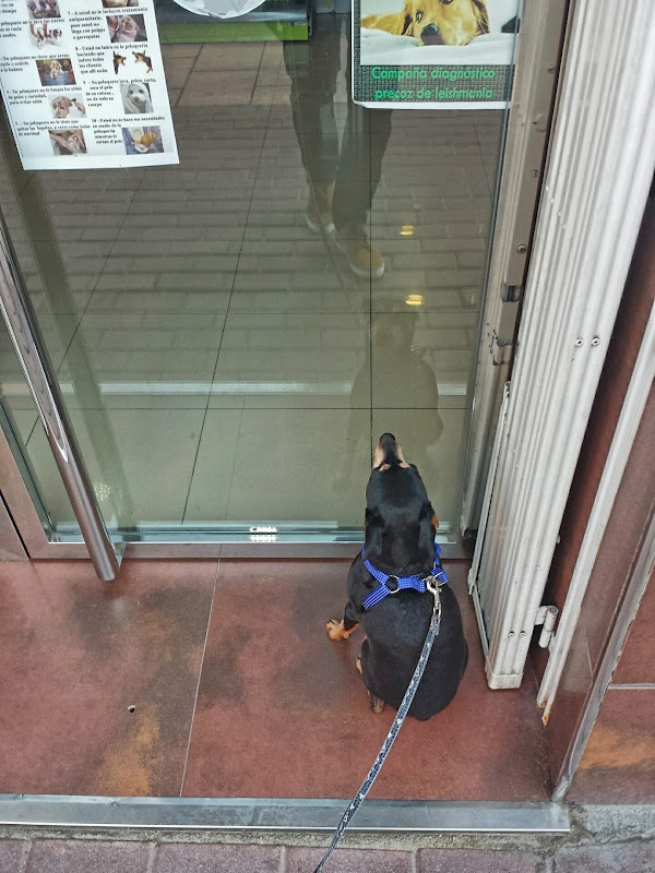 Imagen de Clínica Veterinaria Andrada (3 de 6)