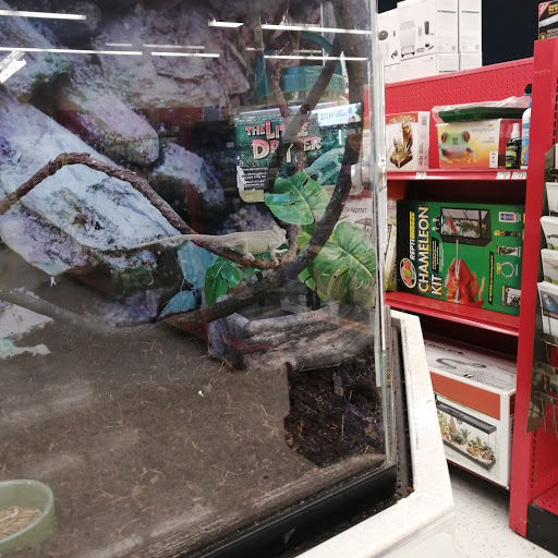 Pet Supply Store «Petco Animal Supplies», reviews and photos, 6 Halfmoon Crossing, Clifton Park, NY 12065, USA
