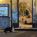 Photo n°1 de l'avis de Z. fait le 28/10/2022 à 12:57 sur le  Ristorante Cervo à Como