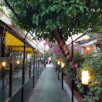 Photo n°1 de l'avis de Claudia.A fait le 03/08/2023 à 20:51 sur le  Osteria Degli Artisti à Genoa