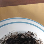 Photo n°1 de l'avis de lorenzo.a fait le 12/10/2019 à 13:36 sur le  Menabó Vino e Cucina à Rome