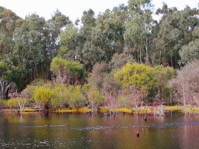 Blue Gum Reserve Lake
