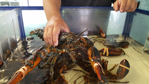 Seafood Market «Parsons Lobsters», reviews and photos, 64 Eagle Lake Rd, Bar Harbor, ME 04609, USA