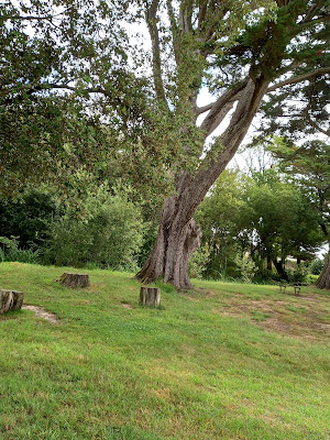 Parc des Genêts à Brem-sur-Mer