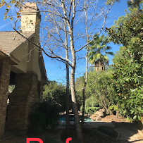 Gardenmania Landscaping, LLC - Photo 9 - Car repair in Magnolia, TX, The Woodlands