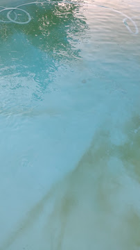 Minghelli pool service - Photo 4 - Car repair in , Lancaster