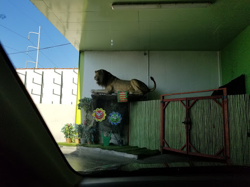 Car Wash «Green Forest Car Wash», reviews and photos, 4649 W Rosecrans Ave, Hawthorne, CA 90250, USA