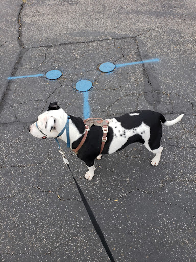 Pet Supply Store «Petco Animal Supplies», reviews and photos, 179 N Milwaukee St, Boise, ID 83704, USA