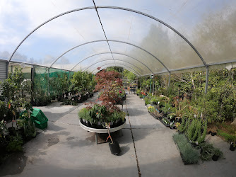 Southside Garden Centre & Nursery