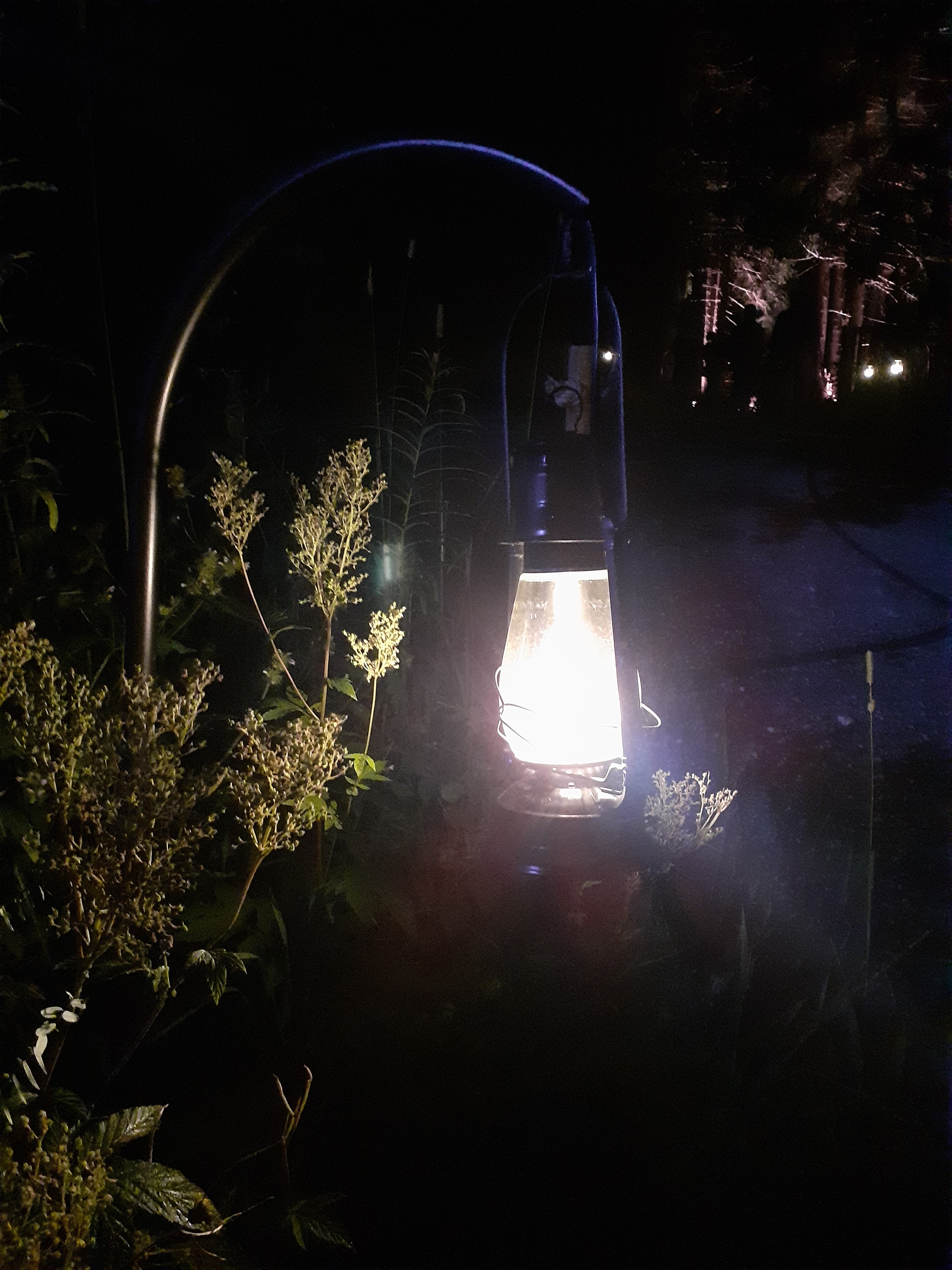 Photo n° 6 de l'avis de Karla.a fait le 20/08/2021 à 20:58