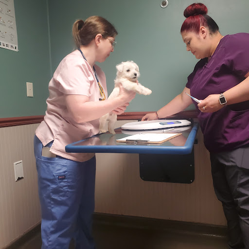 Western Veterinary Clinic image