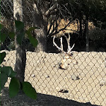 Photo n°26 de l'avis de bruno.a fait le 01/09/2017 à 18:21 sur le  Il Rustico La Casa degli Ulivi à Piedimonte Etneo