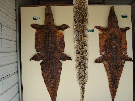 Tour Agency «Everglades National Park Boat Tours», reviews and photos