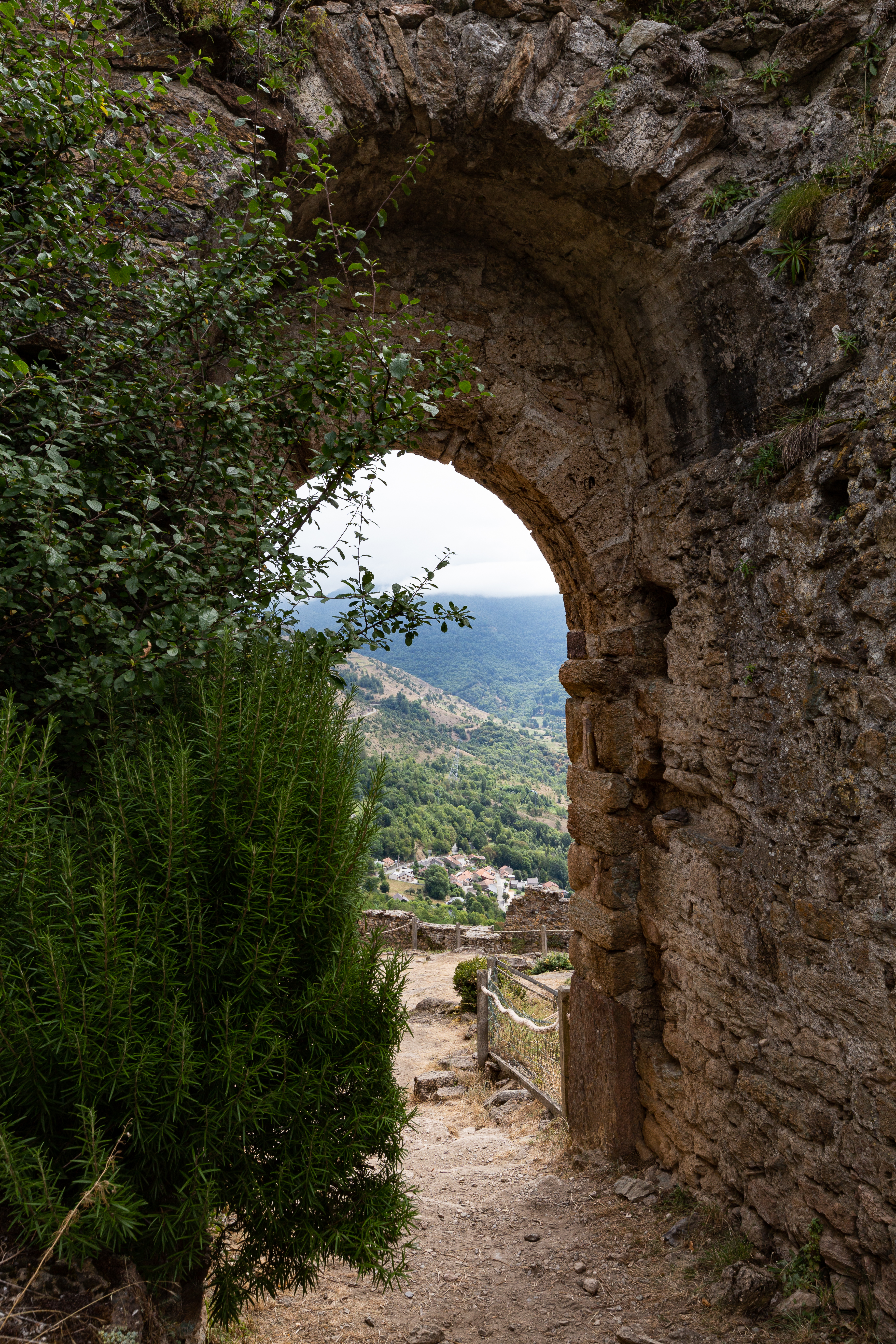 Photo n° 12 de l'avis de pat.a fait le 28/08/2023 à 12:27