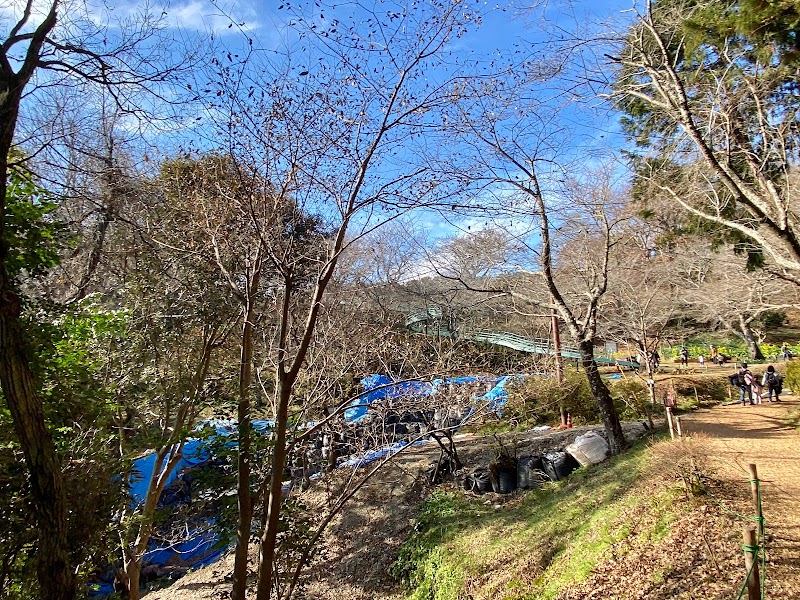 吾妻山公園 ジャンボエイトツー