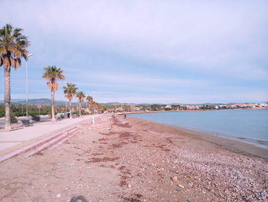 Platja de l'Arenal